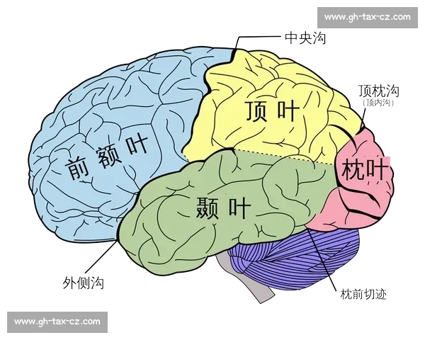 红牌背后的规则博弈与赛场秩序重塑的深层逻辑探析全景观察与启示